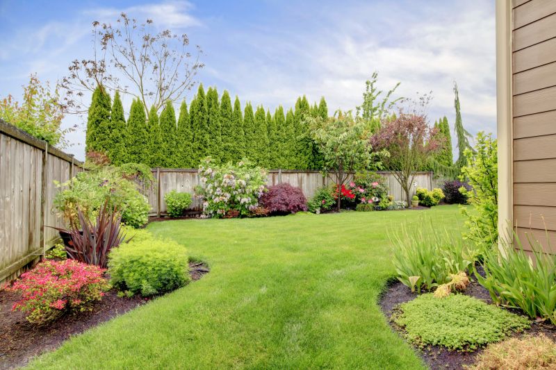 Backyard Remodeling